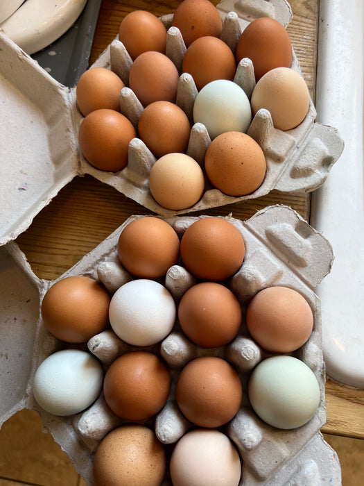 CVF Eggs!