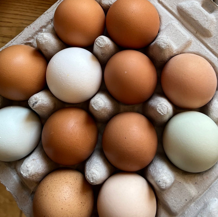 CVF Eggs!